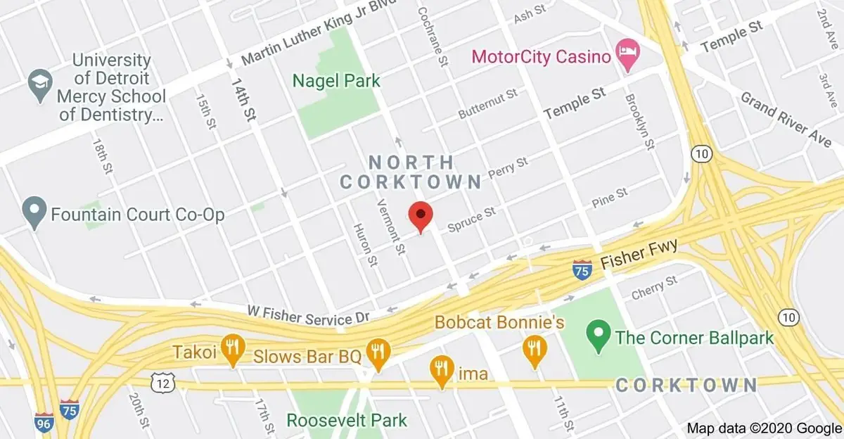 1927 Spruce, Detroit, MI 48216 - Image #1