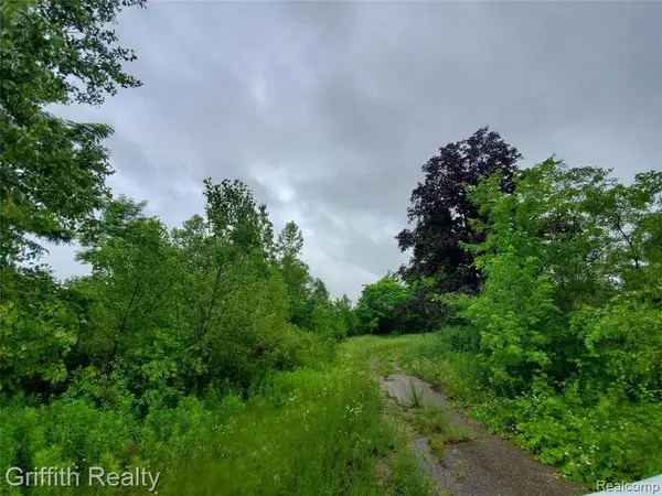 4125 Flint, Brighton, MI 48114