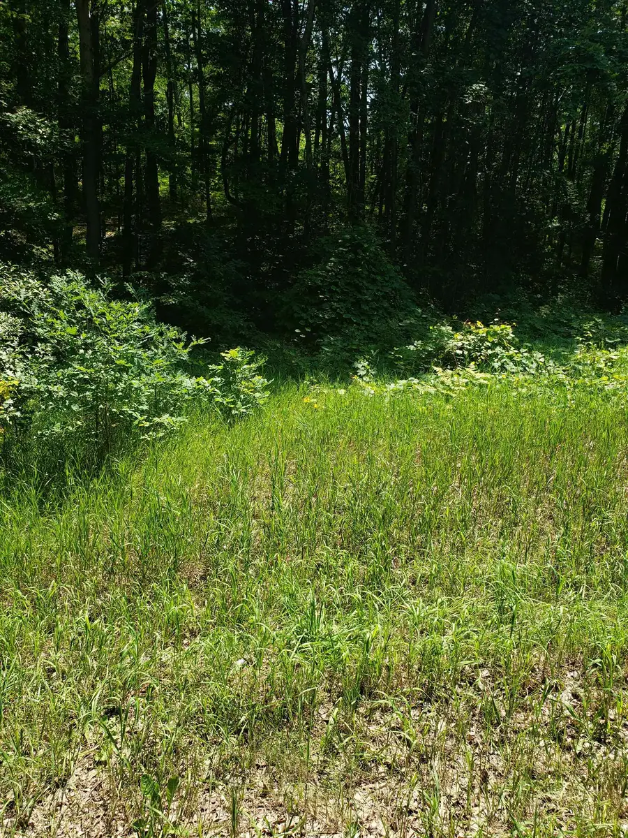 Lots 6 & 7 Townline Lake, Harrison, MI 48625 - Image #3