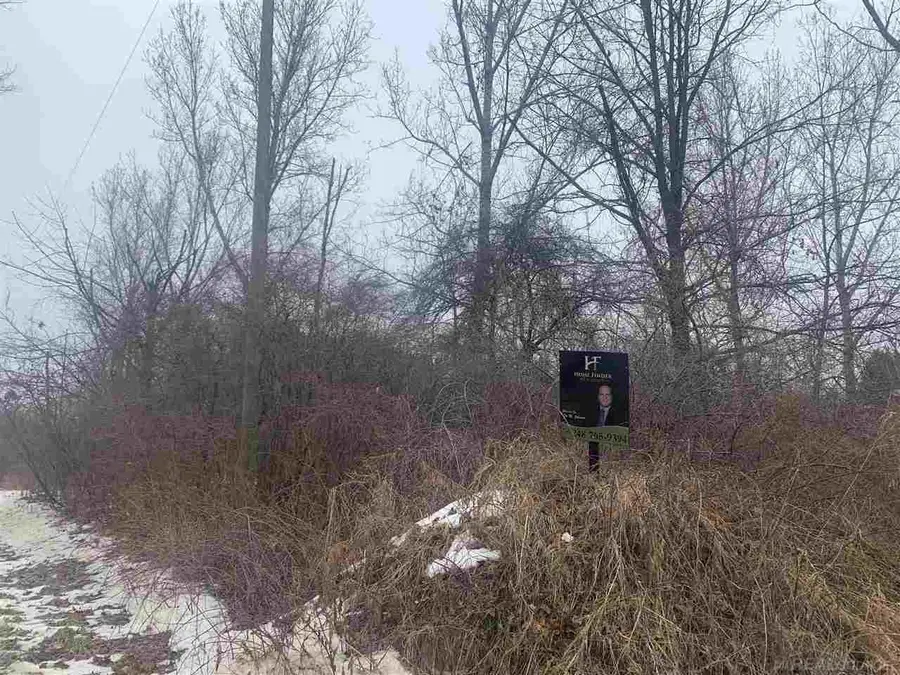 0 Weyer, Romeo, MI 48065 - Image #2
