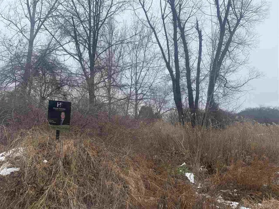 0 Weyer, Romeo, MI 48065 - Image #3