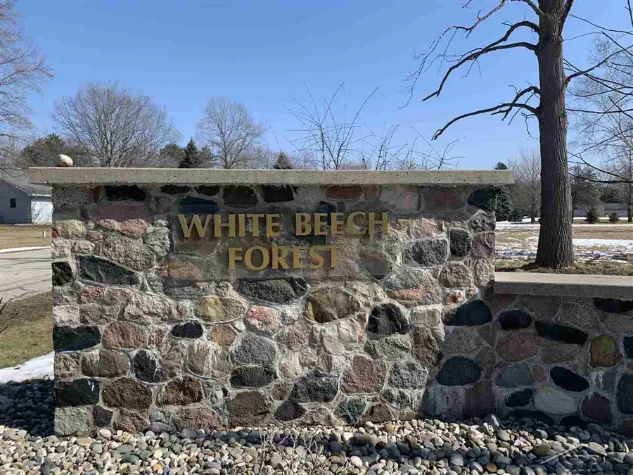 Hornbeam, Saginaw, MI 48603 - Image #2