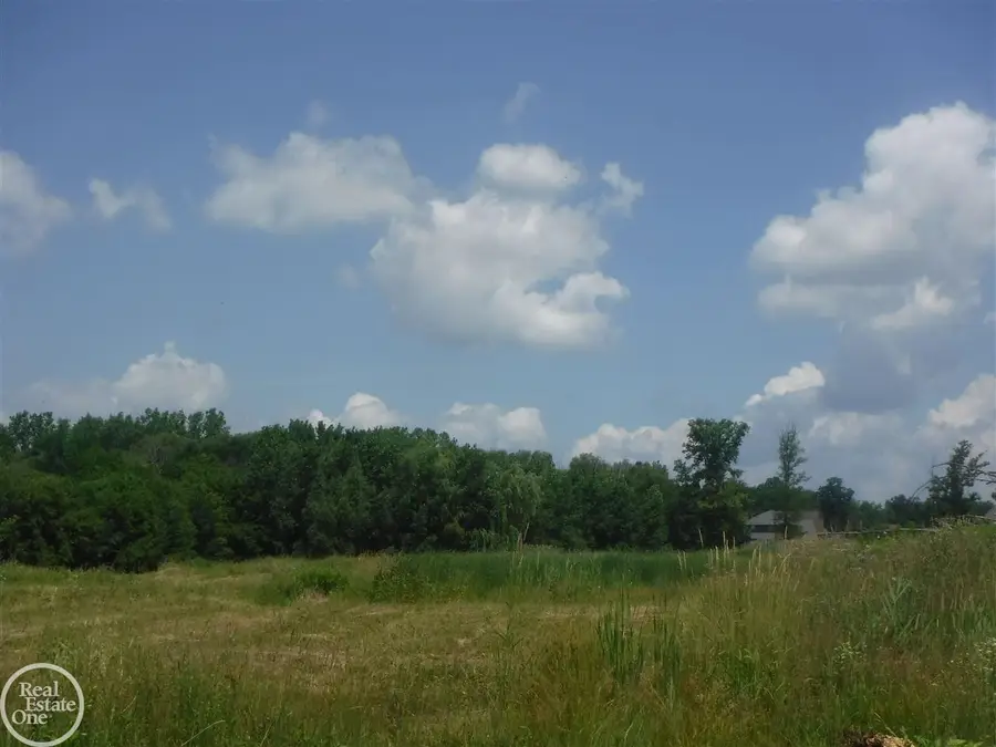 19302 Hamlin Lake, Lot #157, Macomb Township, MI 48044 - #3
