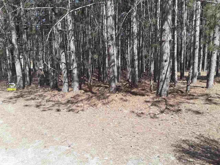 12380 Pine Mesa, Stanwood, MI 49346 - Image #2