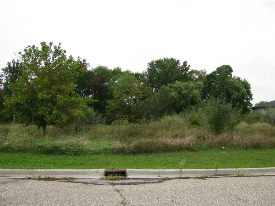 TBD Mcguirk, Clare, MI 48617 - Image #3
