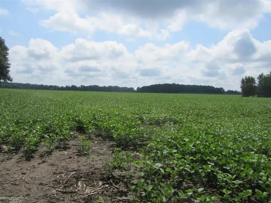 0 Capac, Armada, MI 48005 - #3