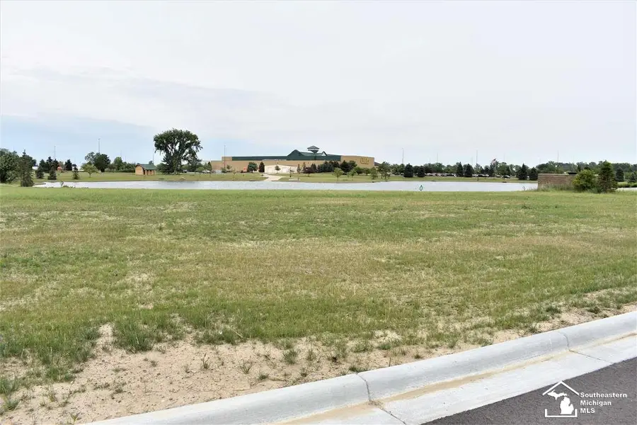 16484 Tecumseh, Dundee, MI 48131 - Image #2