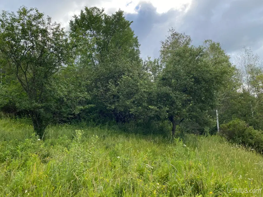 TBD N Fourteenth, Iron River, MI 49935 - Image #3