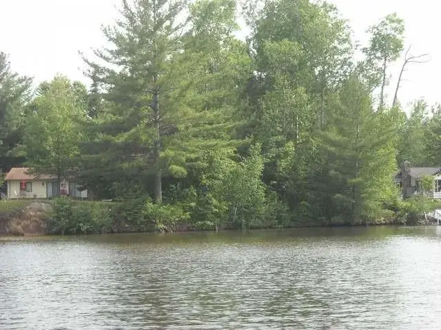 Lot 31 Nokomis, Gladwin, MI 48624 - Image #3