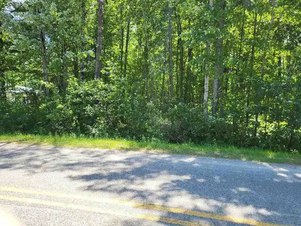 Lot 69 Pineway, Gladwin, MI 48624