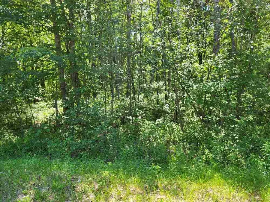 Lot 69 Pineway, Gladwin, MI 48624 - Image #2
