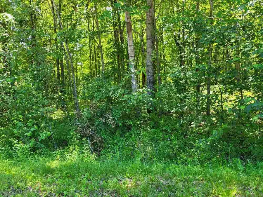 Lot 69 Pineway, Gladwin, MI 48624 - Image #3
