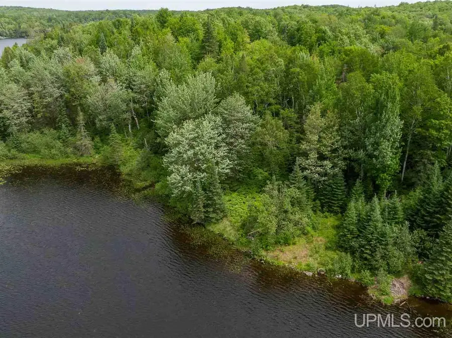 Lot 27 Red Maple, Marenisco, MI 49947 - Image #3
