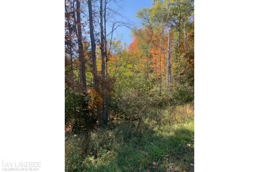00 Lake James, Prudenville, MI 48651 - Image #3