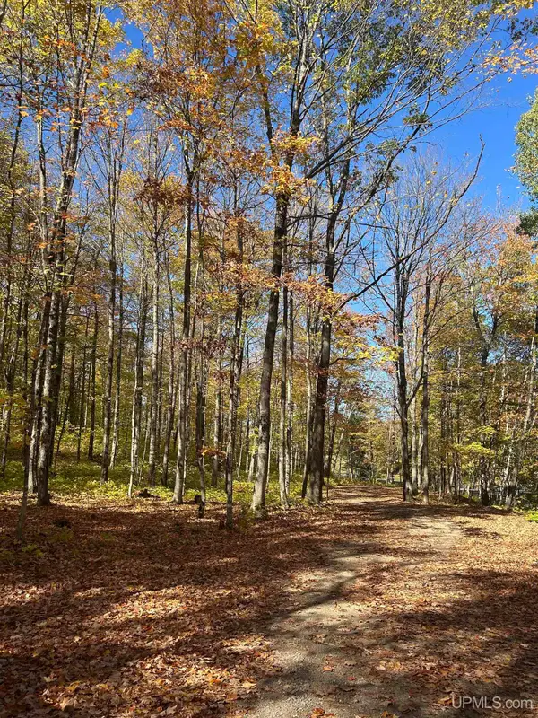 Parcel 7 Old Co Rd 510, Negaunee, MI 49866