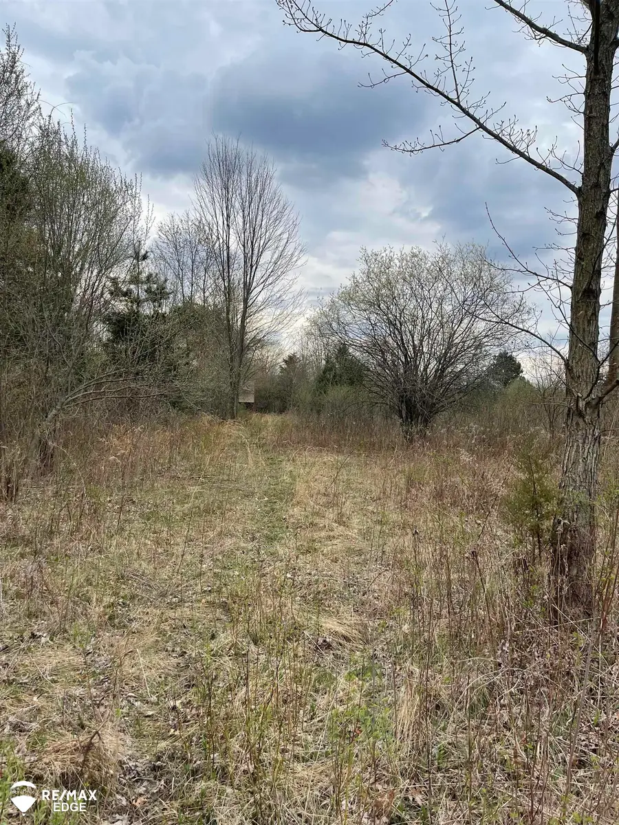 0 N Linden, Clio, MI 48420 - Image #2