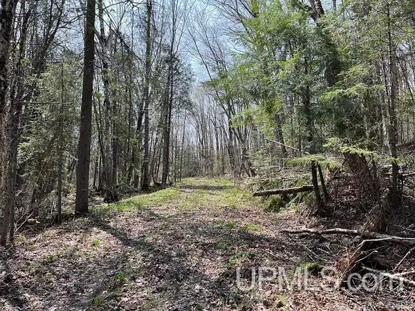 40 Acres Little Lake, Gwinn, MI 49841