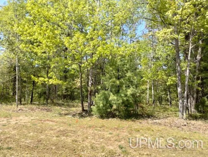 10481 Breezy R.22, Rapid River, MI 49878 - Image #1