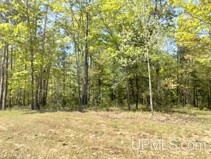 10481 Breezy R.22, Rapid River, MI 49878 - Image #3