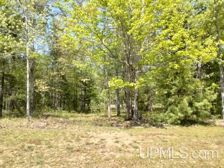 10471 Breezy R.2, Rapid River, MI 49878 - Image #2