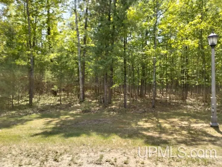 10451 Breezy R.22, Rapid River, MI 49878 - Image #2