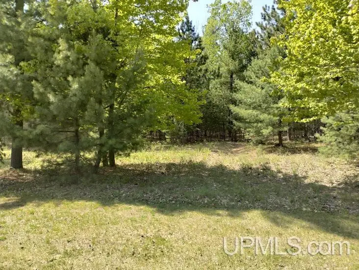 10441 Breezy R.22, Rapid River, MI 49878 - Image #3