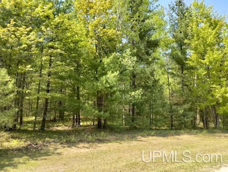 10431 Breezy R.22, Rapid River, MI 49878 - Image #3