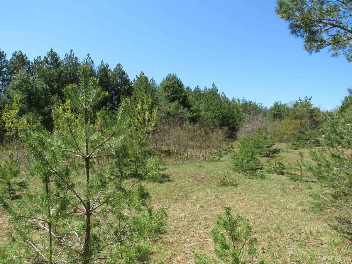 40 Acres Off Snowmobile Trail 133, Mohawk, MI 49950 - Image #1