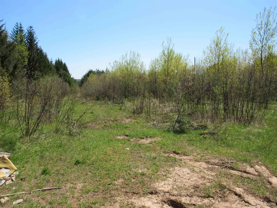 40 Acres Off Snowmobile Trail 133, Mohawk, MI 49950 - Image #2
