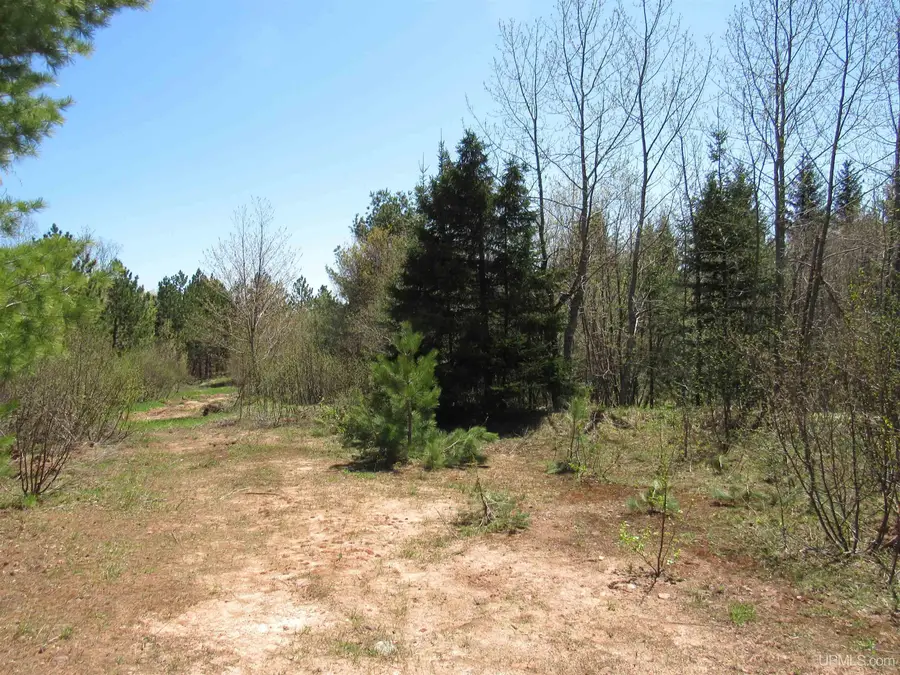 40 Acres Off Snowmobile Trail 133, Mohawk, MI 49950 - Image #3