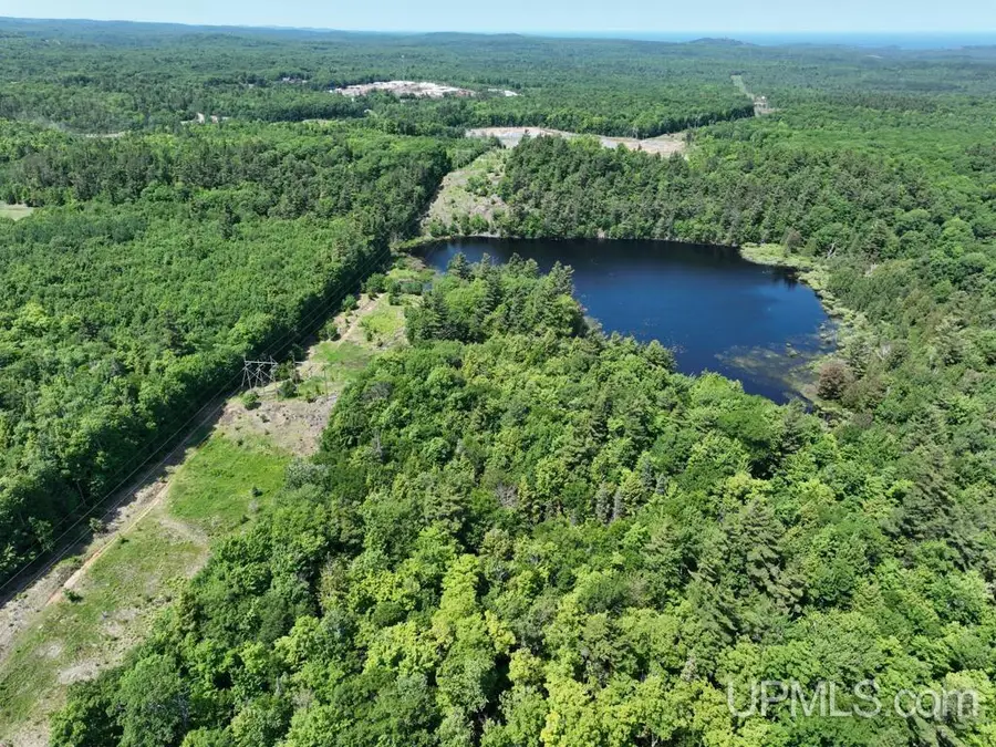 0000 County Road 492, Negaunee, MI 49866 - Image #2