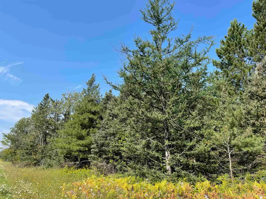 80 Acres Off M94, Skandia, MI 49885 - Image #2