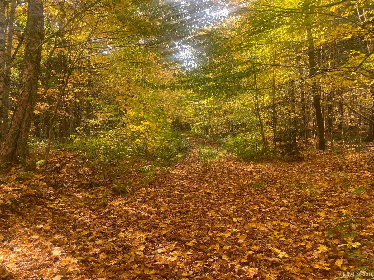 TBD Black River, Ironwood, MI 49938 - Image #1