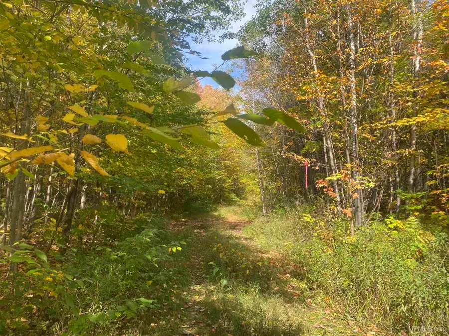 TBD Black River, Ironwood, MI 49938 - Image #2