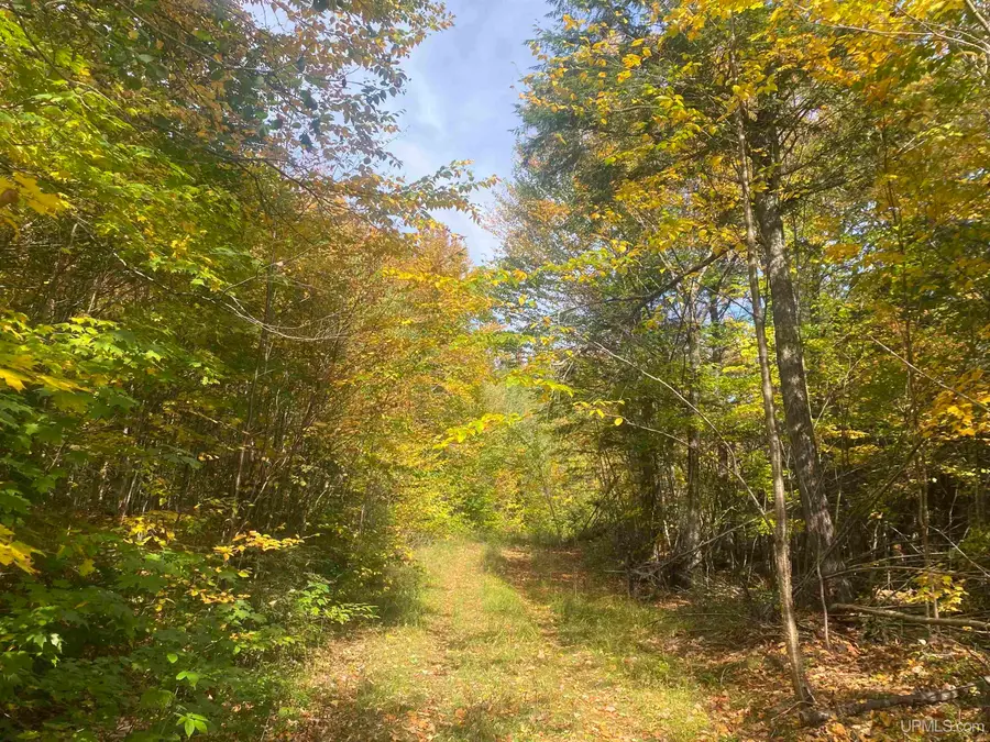 TBD Black River, Ironwood, MI 49938 - Image #3