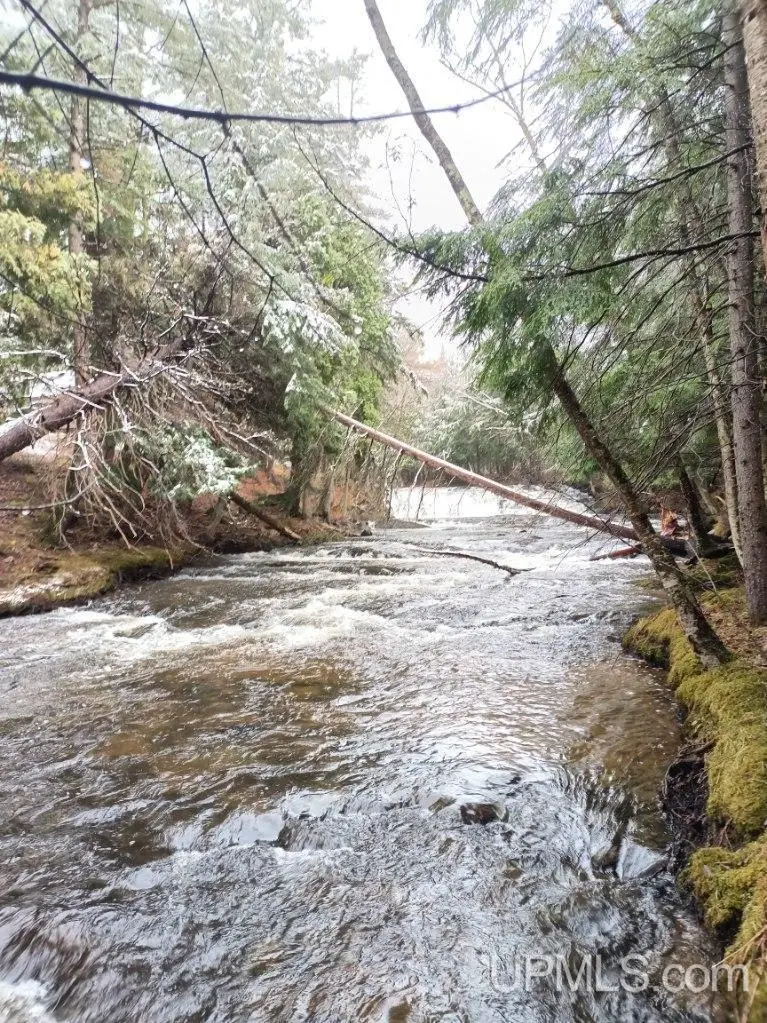 Parcels A, B, C Off Salmon, Lanse, MI 49946 - Image #3