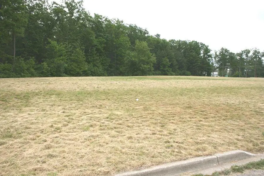 3.97 Acres N Clare, Harrison, MI 48625 - Image #3