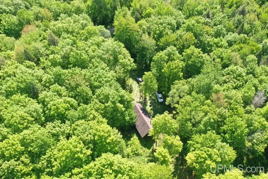 527 Usfs Rd 2130, Iron River, MI 49935 - Image #2