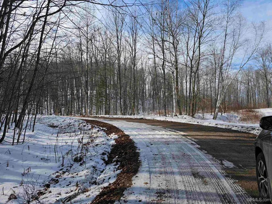 TBD Little Bear, Iron River, MI 49935 - Image #3