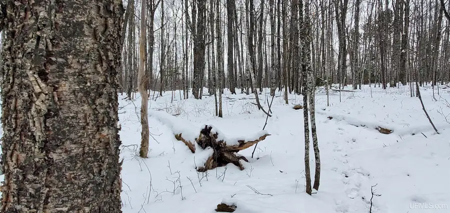TBD Tschury, Iron River, MI 49935 - Image #2