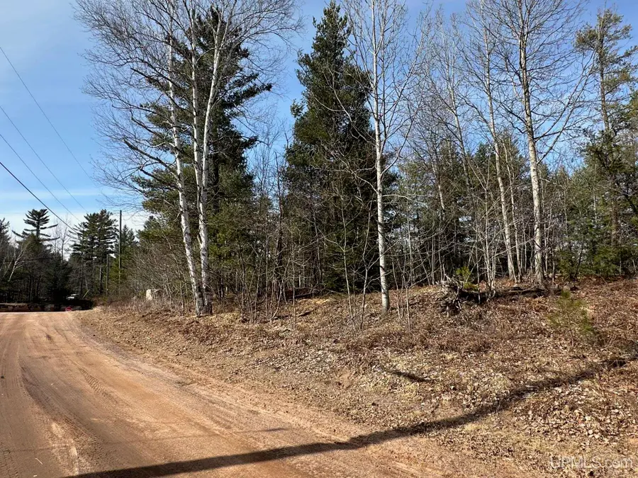 TBD Co Rd Mwf, Negaunee, MI 49866 - Image #2