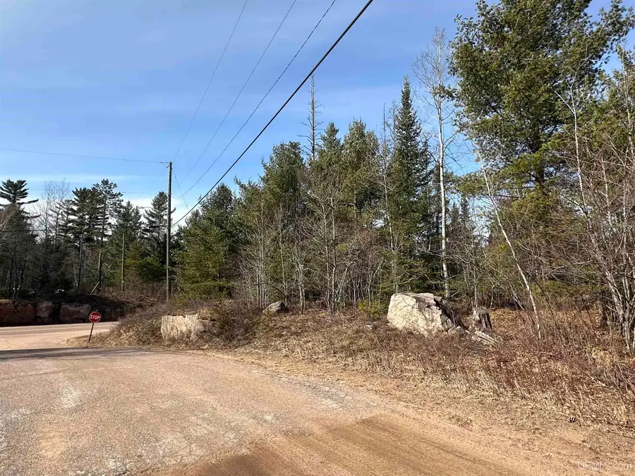 TBD Co Rd Mwf, Negaunee, MI 49866 - Image #3