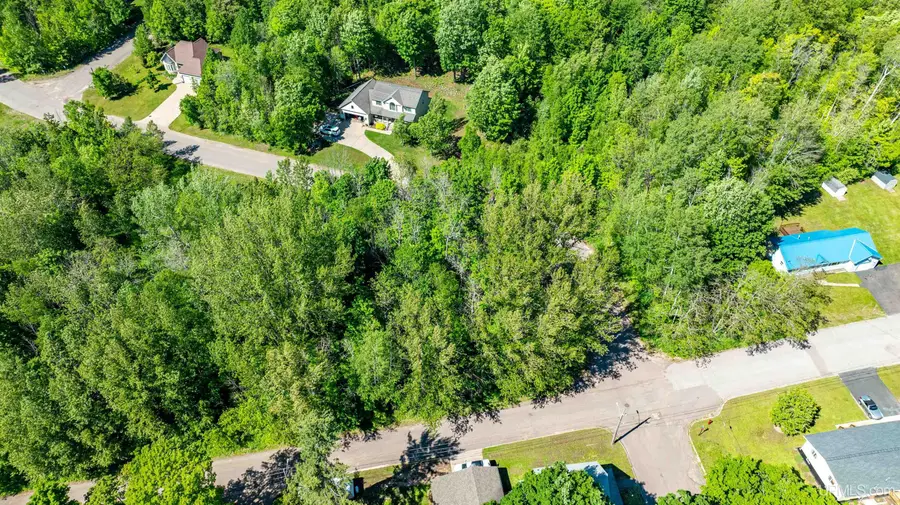 Lot 49 Crestwood, Hancock, MI 49930 - Image #2