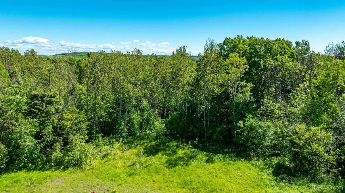 Lot 52 Maplewood Glade, Hancock, MI 49930 - Image #1