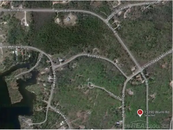 15390 Wurm Road, Wolverine, MI 49799