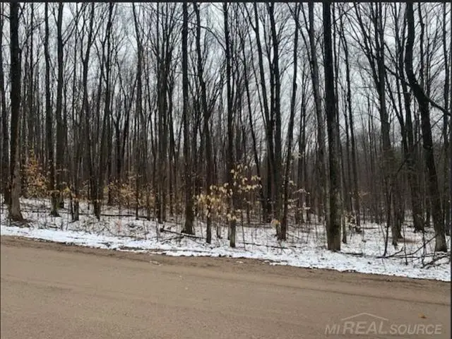 15390 Wurm Road, Wolverine, MI 49799 - Image #3