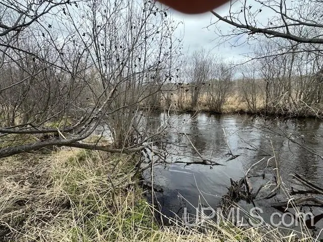 TBD Mcgillis, Caspian, MI 49915 - Image #2