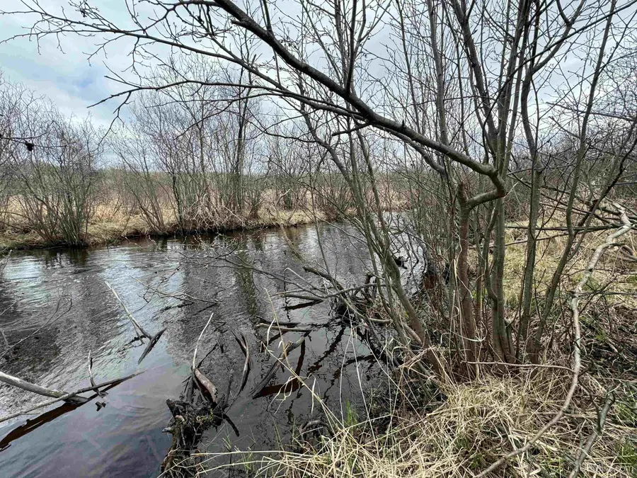 TBD Mcgillis, Caspian, MI 49915 - Image #3