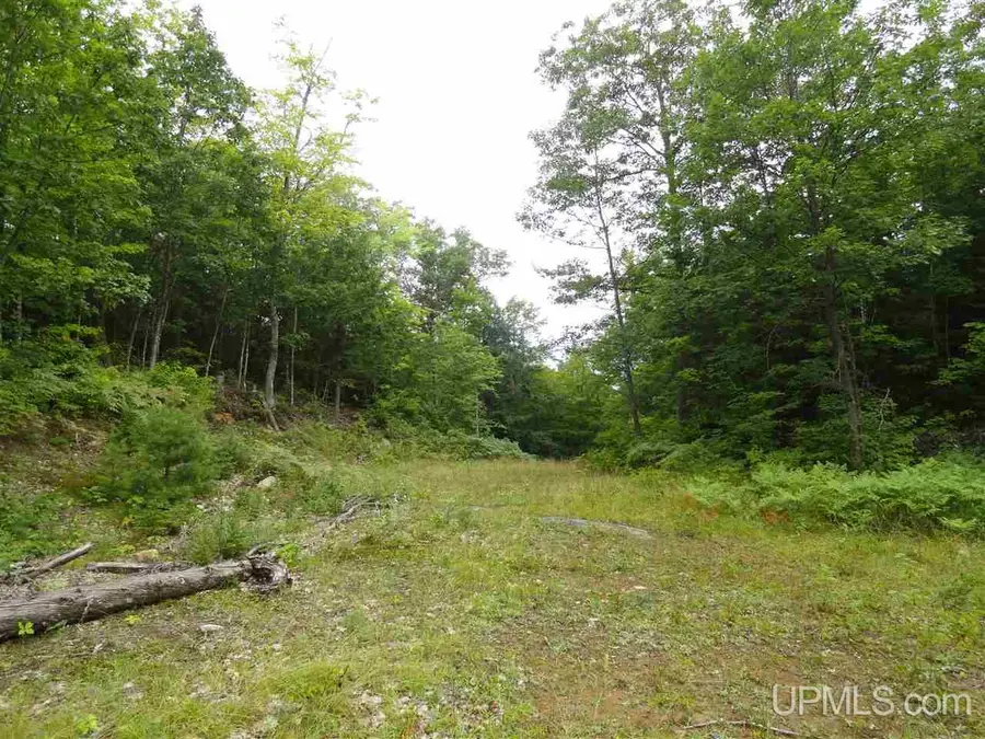 320 Acre Off Co Rd 510, Marquette, MI 49855 - Image #2