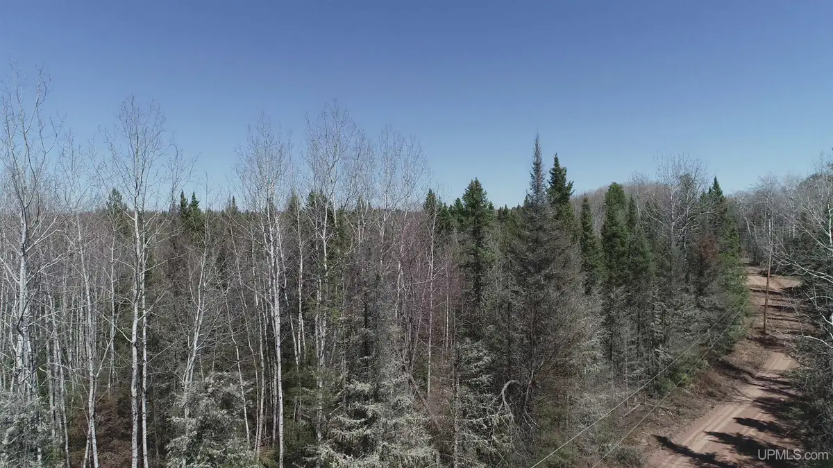 252 Acres Helen Lake, Republic, MI 49879 - Image #1